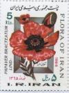 Colnect-2004-068-Iranian-poppy.jpg