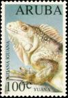 Colnect-3750-855-Green-Iguana-Iguana-iguana.jpg