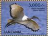 Colnect-5935-606-African-Sacred-Ibis-Threskiornis-aethiopicus.jpg