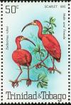 Colnect-744-210-Scarlet-Ibis-Eudocimus-ruber.jpg
