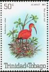 Colnect-744-211-Scarlet-Ibis-Eudocimus-ruber.jpg