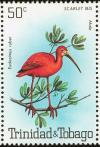 Colnect-744-214-Scarlet-Ibis-Eudocimus-ruber.jpg