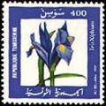 Colnect-551-595-Iris-xiphium.jpg