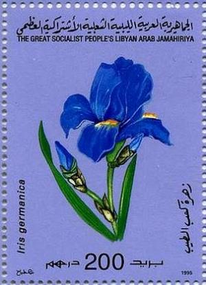 Colnect-2869-406-Iris-germanica.jpg