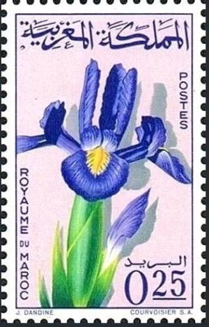 Colnect-5400-475-Iris-tingitana.jpg