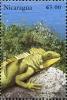 Colnect-5661-942-Green-iguana-Iguana-iguana.jpg