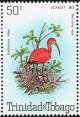 Colnect-744-211-Scarlet-Ibis-Eudocimus-ruber.jpg