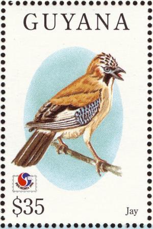 Colnect-1664-225-Eurasian-Jay-Garrulus-glandarius.jpg