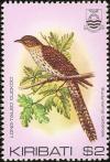 Colnect-1095-842-Long-tailed-Koel-Urodynamis-taitensis.jpg