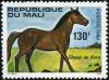 Colnect-2000-322-Horse-from-Koro-Equus-ferus-caballus.jpg
