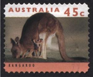 Colnect-1472-356-Eastern-Grey-Kangaroo-Macropus-giganteus.jpg