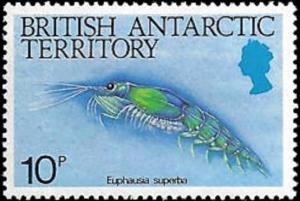 Colnect-3076-673-Antarctic-Krill-Euphausia-superba.jpg