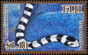 Colnect-3184-369-Banded-Sea-Krait-Laticauda-colubrina.jpg