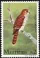 Colnect-760-724-Mauritius-Kestrel-Falco-punctatus.jpg