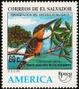 Colnect-2879-641-American-Pygmy-Kingfisher-Chloroceryle-aenea.jpg