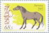 Colnect-176-578--bdquo-Sorraia-ldquo--Equus-ferus-caballus.jpg