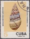Colnect-1800-989-Cuba-Tree-Snail-Liguus-fasciatus-trinidadense.jpg
