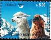 Colnect-3290-078-Alpaca-Lama-guanicoe-pacos-.jpg