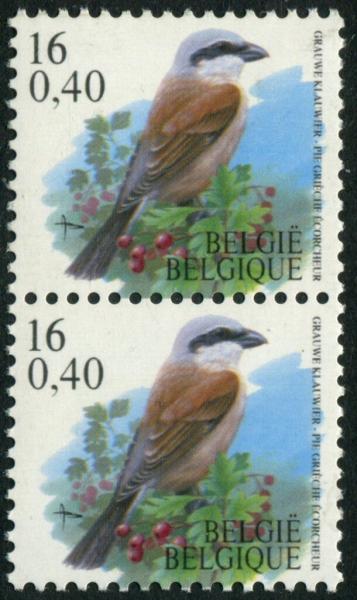 Colnect-5786-294-Red-backed-Shrike-Lanius-collurio-paire-verticale.jpg