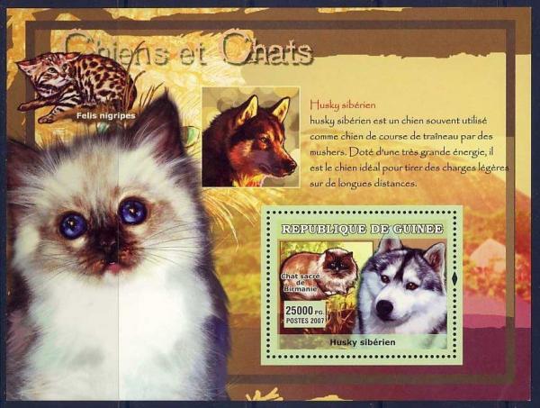 Colnect-1097-927-Siberian-Husky-Canis-lupus-familiaris-Burmese-Cat-Felis-.jpg