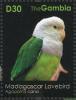 Colnect-1721-802-Grey-headed-Lovebird-Agapornis-canus%C2%A0.jpg
