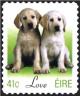 Colnect-1902-317-Love---Puppies.jpg
