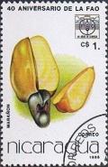 Colnect-1228-704-Maranon-Cashew.jpg