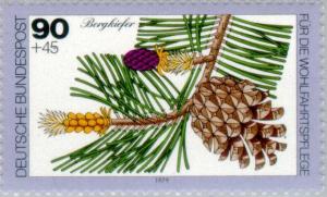 Colnect-153-188-Mountain-Pine.jpg