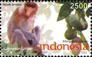 Colnect-1565-339-Proboscis-Monkey-Nasalis-larvatus.jpg