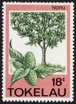 Colnect-1822-960-Nonu-Morinda-citrifolia.jpg