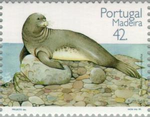 Colnect-186-914-Mediterranean-Monk-Seal-Monachus-monachus.jpg
