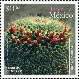 Colnect-3069-639-Mexican-flora.jpg