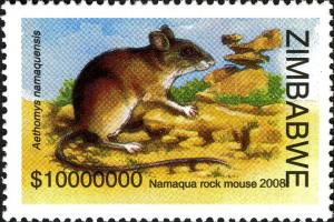 Colnect-554-145-Namaqua-Rock-Mouse-Aethomys-namaquensis.jpg