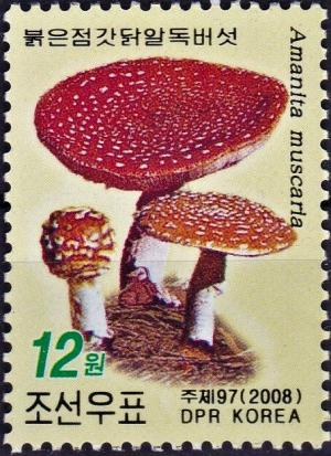 Colnect-5559-792-Fly-agaric-mushroom-amanita-muscaria.jpg