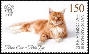 Colnect-5684-935-Maine-Coon-Cat.jpg
