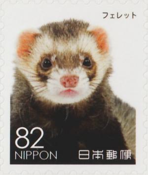 Colnect-5893-112-Ferret-Mustela-Putorius-Furo.jpg