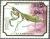Colnect-2687-101-European-Mantis-Mantis-religiosa.jpg