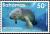 Colnect-5753-784-West-Indian-Manatee-Trichechus-manatus.jpg