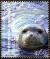 Colnect-692-046-Mediterranean-Monk-Seal-Monachus-monachus.jpg