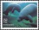 Colnect-5106-741-West-Indian-Manatee-Trichechus-manatus.jpg