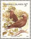Colnect-1599-555-Brown-Noddy-Anous-stolidus.jpg
