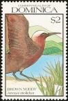 Colnect-1789-613-Brown-Noddy-Anous-stolidus.jpg