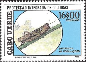 Colnect-1126-799-Red-Locust-Nomadacris-septemfasciata.jpg