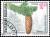 Colnect-3856-696-Norway-spruce.jpg