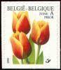 Colnect-5720-983-Tulip-Triumph--quot-Kees-Nelis-quot---Selfadh-Bottom-imperforate.jpg