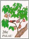 Colnect-2425-172-Carninal-Myzomela-Myzomela-cardinalis-Wax-Apple-Tree-Syz.jpg