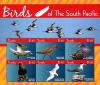Colnect-4021-372-Birds-of-the-South-Pacific.jpg