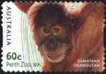 Colnect-6285-964-Sumatran-Orangutan-Pongo-abelii.jpg