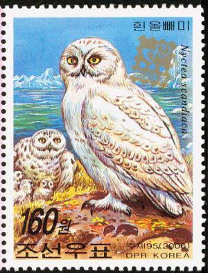 Colnect-1615-864-Snowy-Owl-Bubo-scandiacus.jpg
