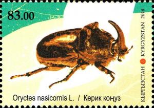 Colnect-5526-079-Bugs---Oryctes-nasicornis-L.jpg